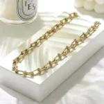 Bold Le Cheval Chain Necklace gold version on a white jewelry box