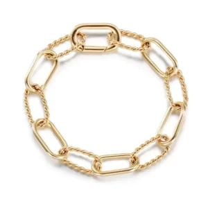 Interlocking Threader Bracelet Twisted Link Chain.