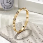 close up photo of the golden Striking Metal Stone Hinged Bangle on a concrete background