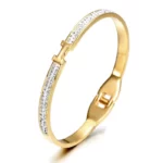 Wonderful Thin H-Shaped CZ Bangle