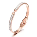 Wonderful Thin H-Shaped CZ Bangle IN ROSE GOLD