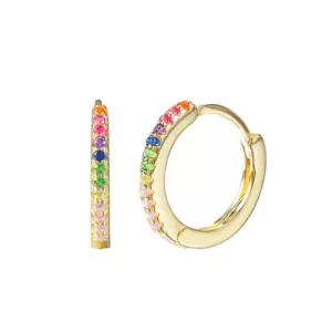 Stunning Rainbow Hoop Earrings